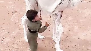 Child With Camal