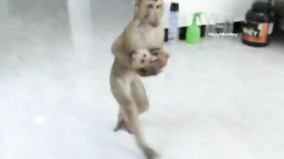 MONKEY PLAY