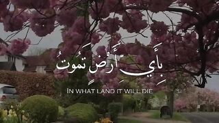 Very nice video