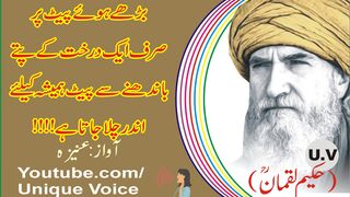 Bhary Hoy Pait Par Sirf Aik Darkhat Ky Patty Bandhen l Unique Voice l Best Aqwaal In Urdu