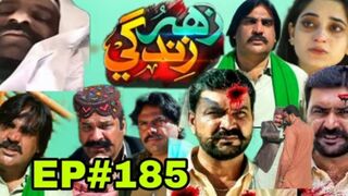 Zeher Zindagi drama AP 184 Sindh TV HD drama