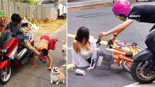 AWW NEW FUNNY .Funny Videos