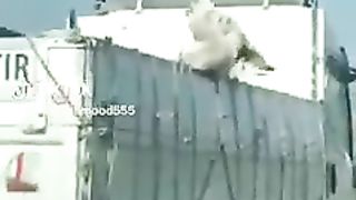 Funny video!best funny video