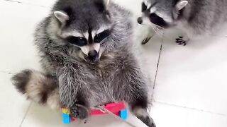 Совместная команда.