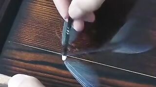 Создание картины