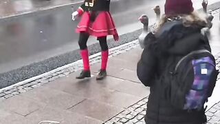 Загін гусей