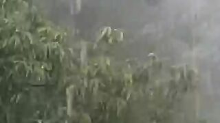 Сила природы
