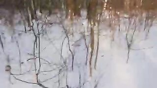 Красивая зима
