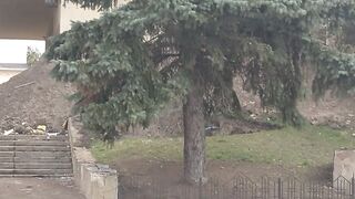Мой город после российских захватчиков.
