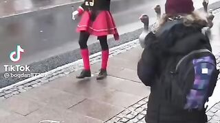 Бойові гуси????