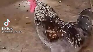 Танюха....