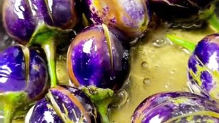 Nice food