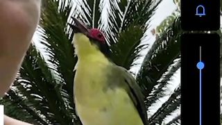 Awesome video ????