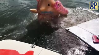 TRY NOT TO LAUGH WATCHING FUNNY FAILS VIDEOS 2023