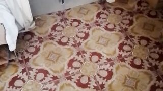 Bella cats coton tige