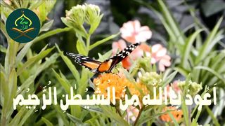 Surah Rehman Complete Beautiful Voice (Slow Version)