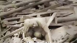 Awesome video ????