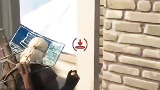 je bat mon pote pro