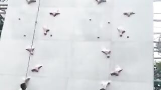 How fast is it going up