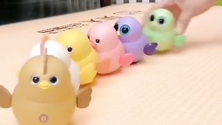 Amazing video