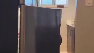 Hilarious Compilation of the Funniest Videos #17