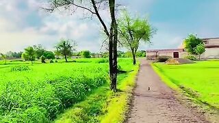 Video ss