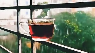 Beautiful Relaxing Video