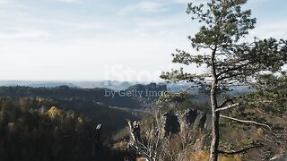 Beautiful nature video without sound