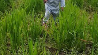 Aslam
