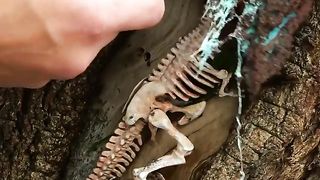 A prehistorian piece is found and restored in this video.