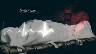 Deaths status