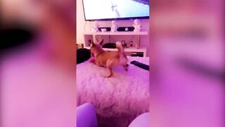 TOP FUNNY TIKTOK COMPILATION | Compilation #1 | BEST TIKTOK OF THE MOMENT????????????