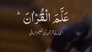 تلاوت قرآن پاک
