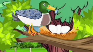 Ugly Duck and his Mother moralstory