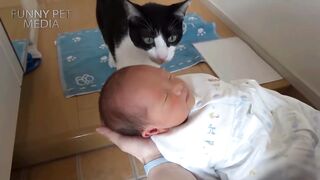 Cats and Babies ★ Cat Meets Baby for First Time (HD) [Funny Pets]