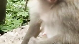 Funny vidéo
