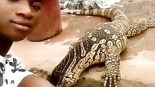 Funny animal