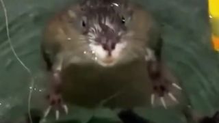 You were not expecting and I came
