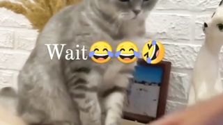 don't touch my phone