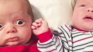 A Good Voice! Baby Has New Experience with Toys | Funny Vines