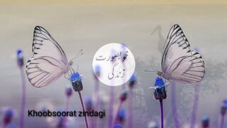 True Urdu Quotes / Heart Touching Quotes in Urdu / Most Memorable Urdu Quotes l khoobsoorat zindagi
