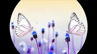 Collection Of Beautiful Urdu Quotes  l khoobsoorat zindagi l Unique Collection of Urdu Quotations