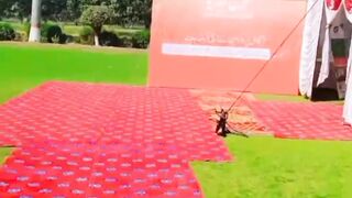 Shogar Mil Rajanpur Event