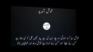 Deep Motivational Urdu Quotes for Success in Life |Urdu Aqwal zareen l Heart touching Quotes In Urdu