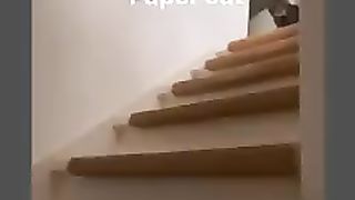 The cat funny