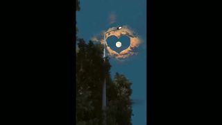 Sad video status