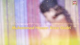Muhammad Hassan Qadri  - Mera Nabi Mera Iman - New Naat 2023