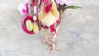 Jummapathan in pakistan