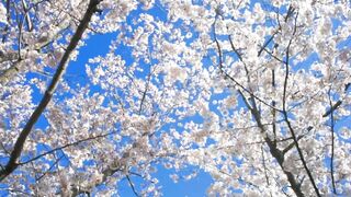 Beauty of natur