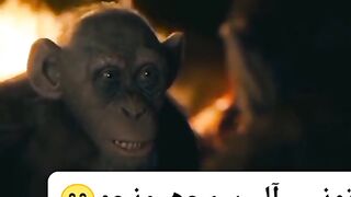 New funny video # best of fun